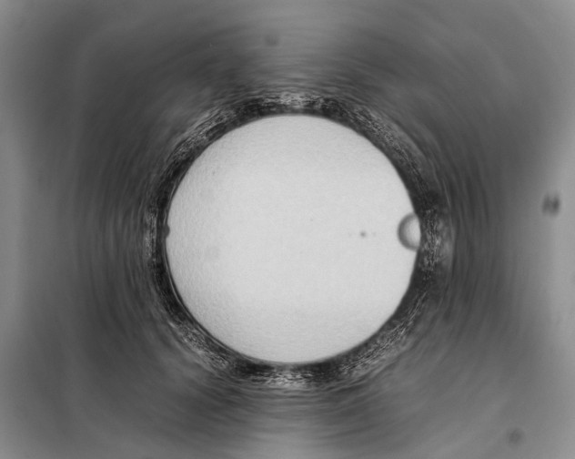 X0000097880656200804110952