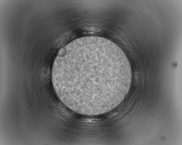 X0000097880657200804110952