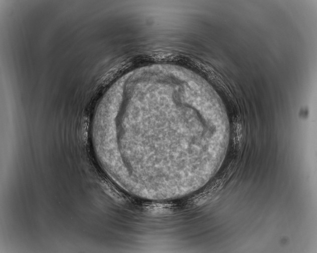 X0000097880664200804110952