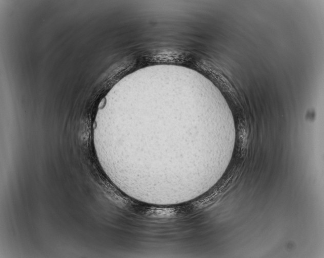 X0000097880665200804110952