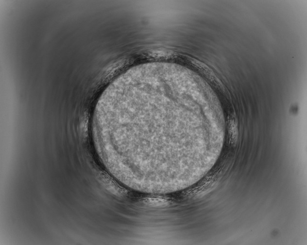 X0000097880668200804110952