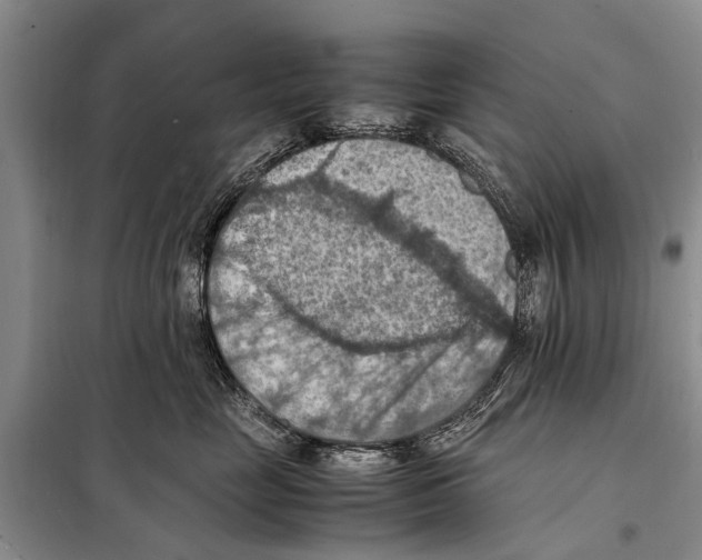 X0000097880669200804110952