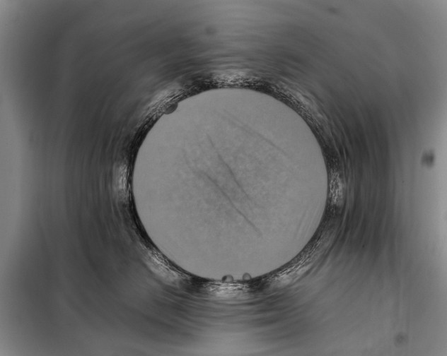 X0000097880670200804110952