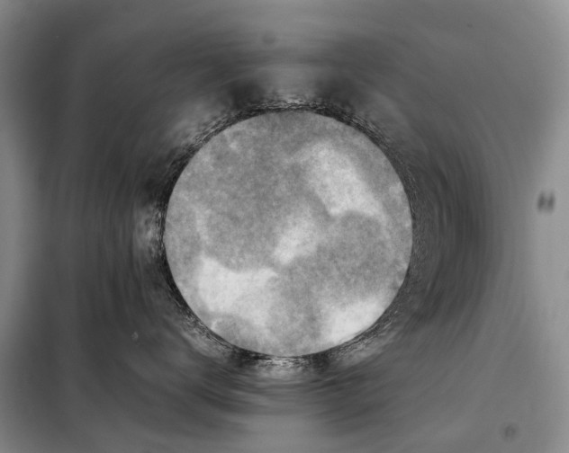 X0000097880672200804110952