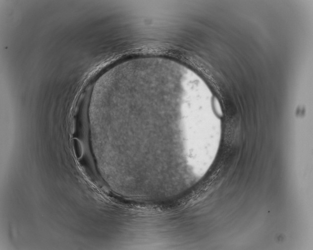 X0000097880673200804110951