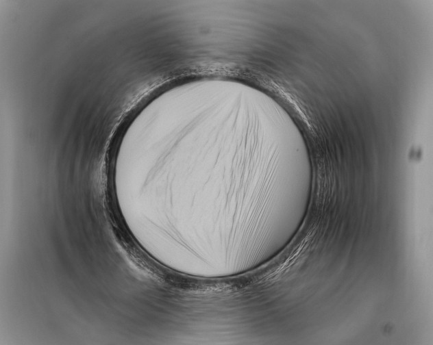 X0000097880674200804110951