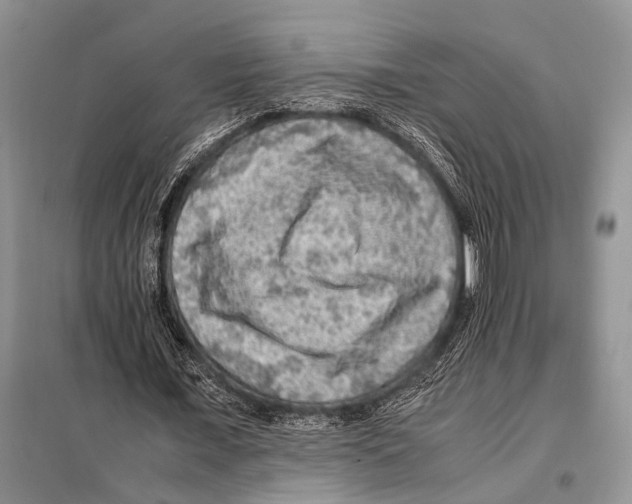 X0000097880675200804110951