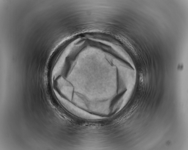 X0000097880676200804110951