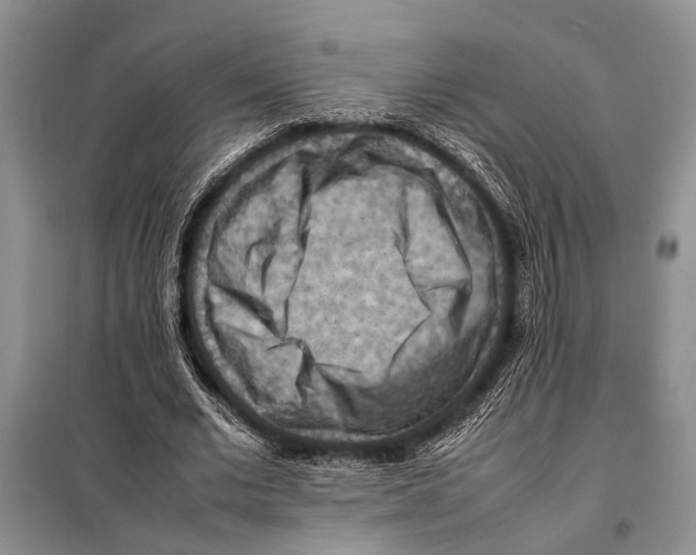 X0000097880677200804110951