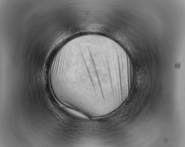 X0000097880680200804110951