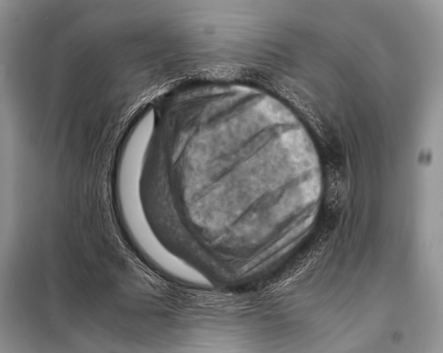 X0000097880681200804110951