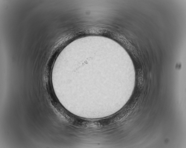 X0000097880683200804110951