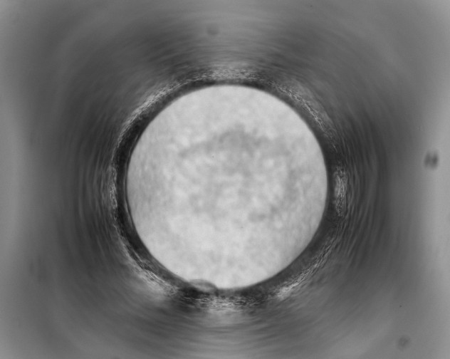 X0000097880684200804110951