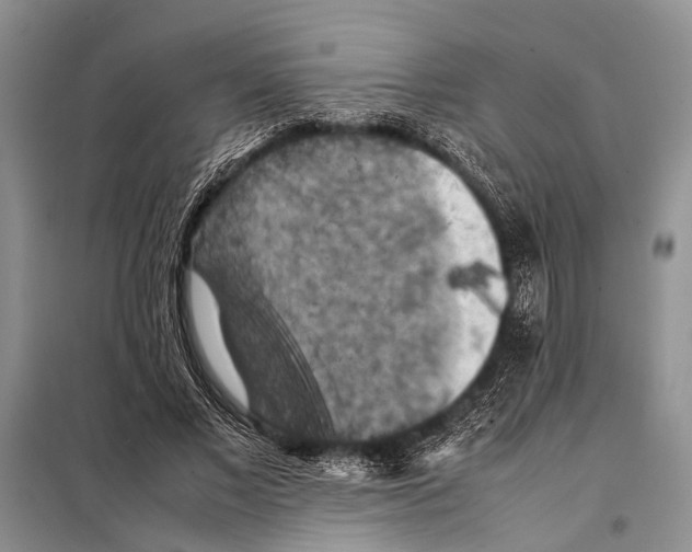 X0000097880685200804110951