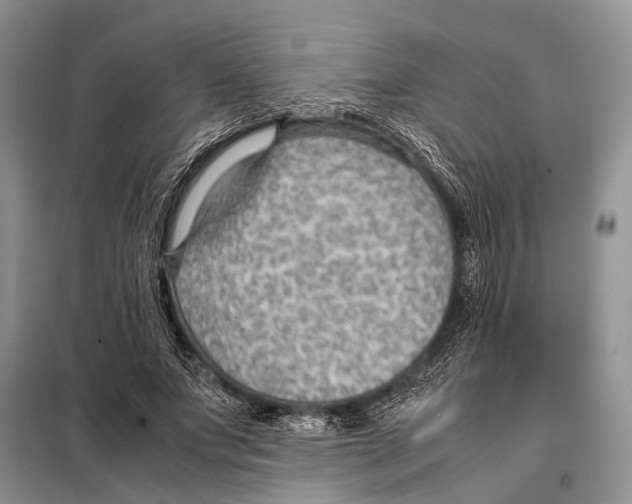 X0000097880687200804110951