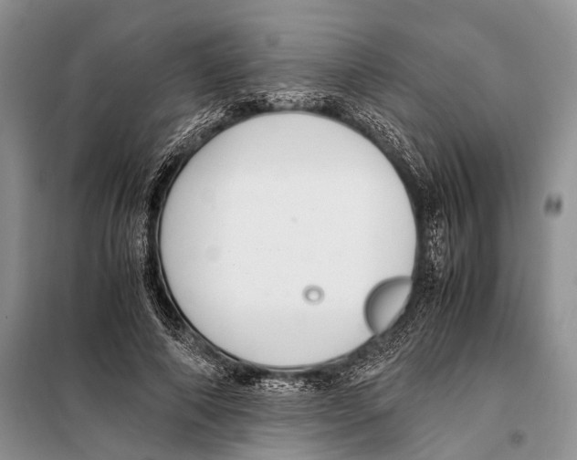 X0000097880690200804110951