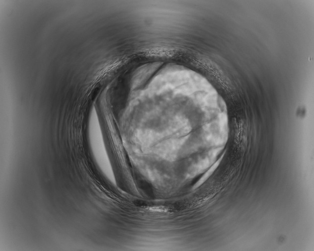 X0000097880692200804110951