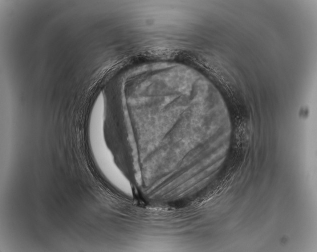 X0000097880693200804110951