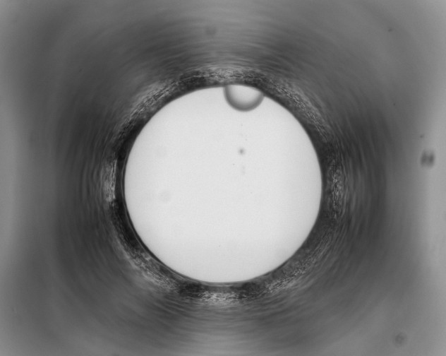 X0000097880694200804110951