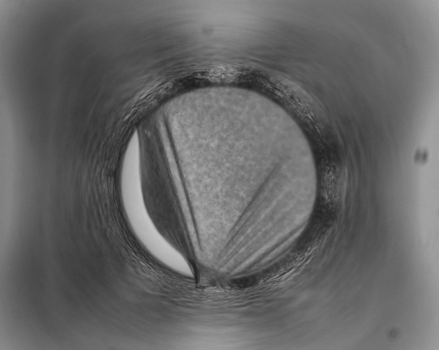 X0000097880697200804110951