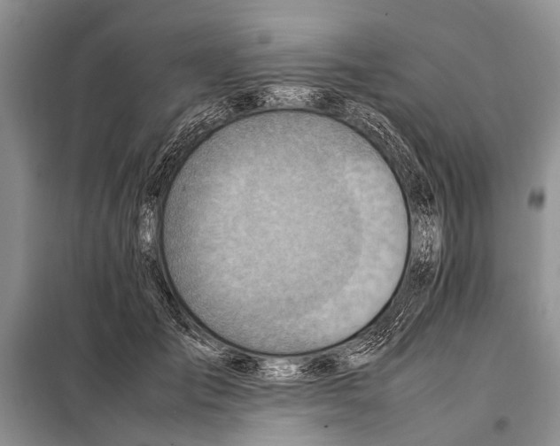 X0000097880701200804110951