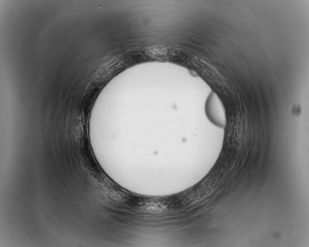 X0000097880702200804110951