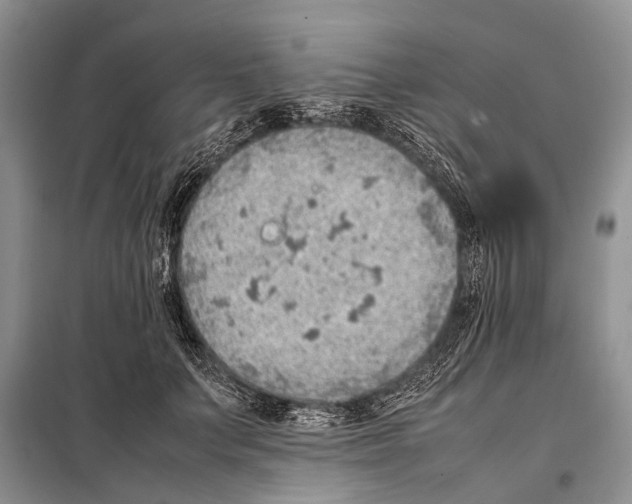 X0000097880703200804110951