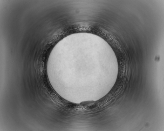 X0000097880704200804110951