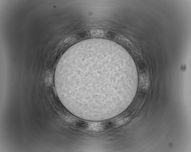 X0000097880705200804110951