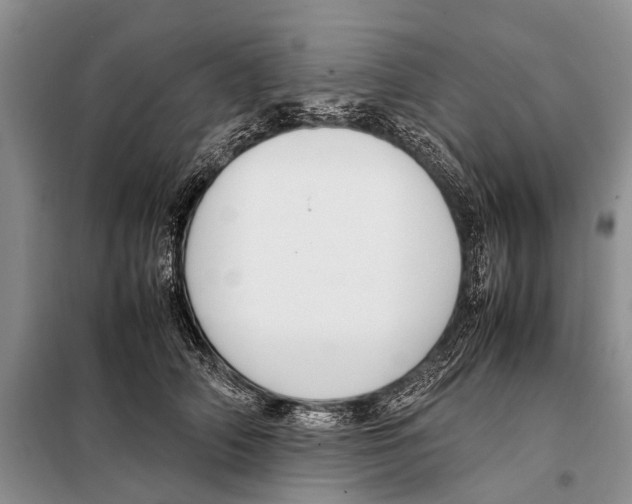 X0000097880706200804110951