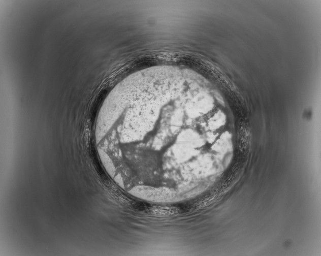 X0000097880707200804110951