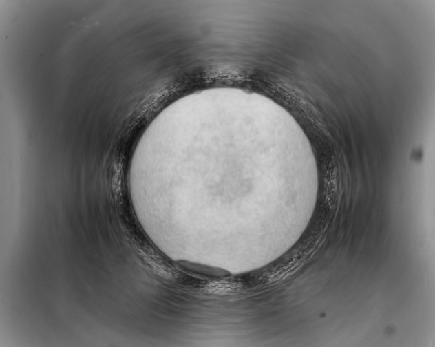 X0000097880708200804110951