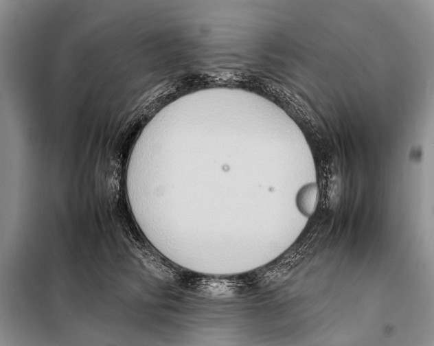 X0000097880710200804110951