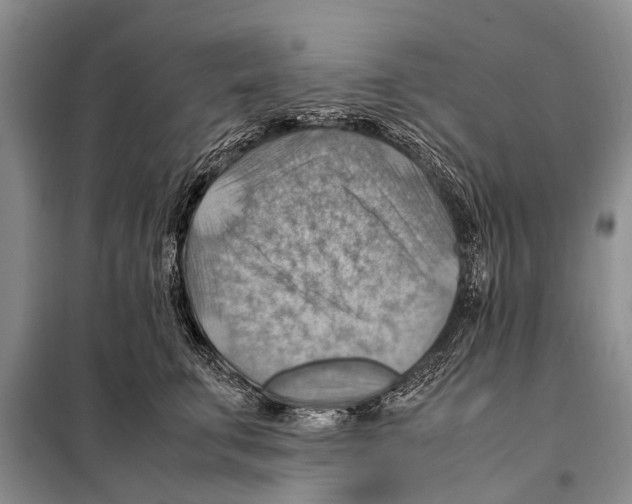 X0000097880711200804110951