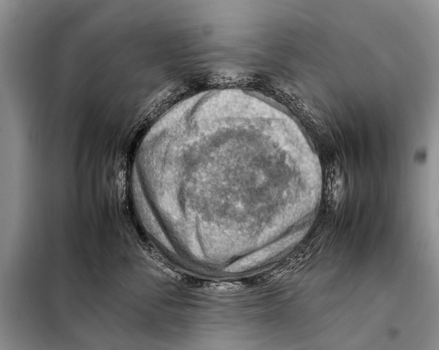 X0000097880716200804110951