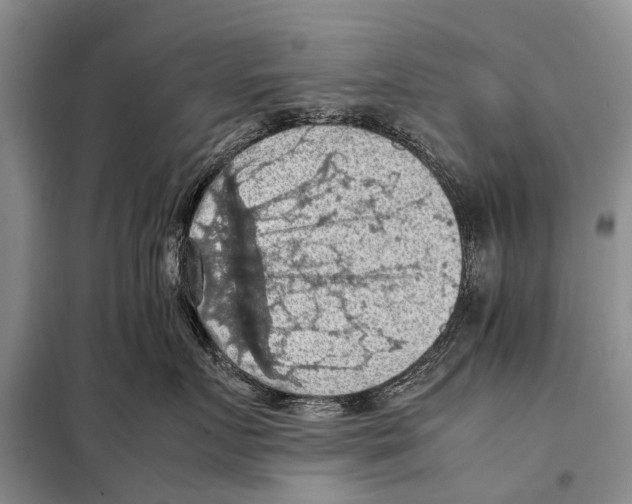 X0000097880719200804110951