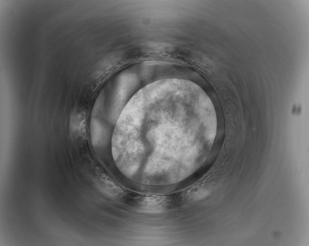 X0000097880720200804110951