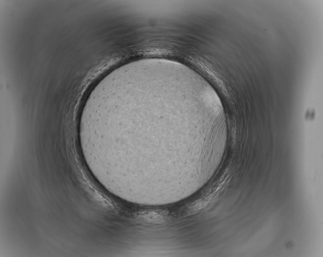 X0000097880721200804110950