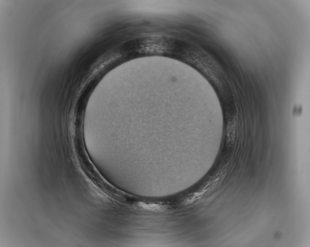 X0000097880722200804110950