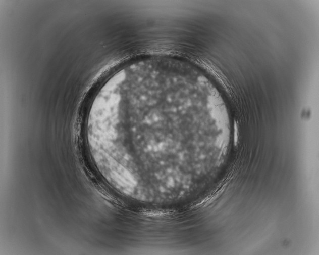 X0000097880723200804110950