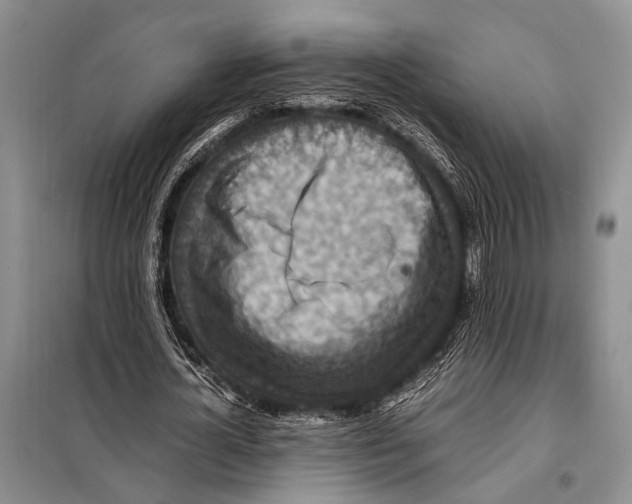 X0000097880724200804110950