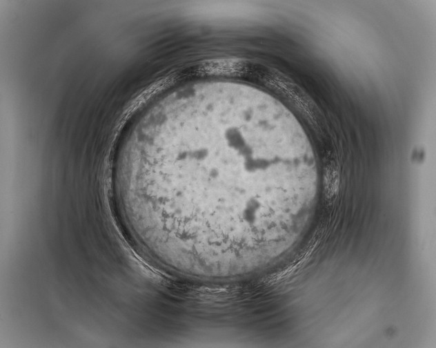 X0000097880725200804110950