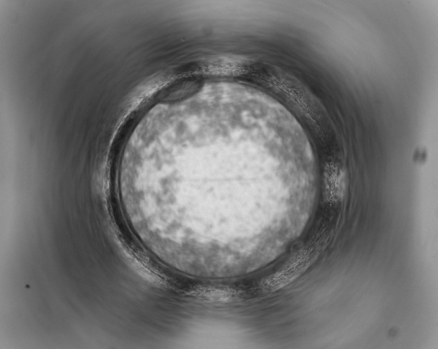 X0000097880726200804110950