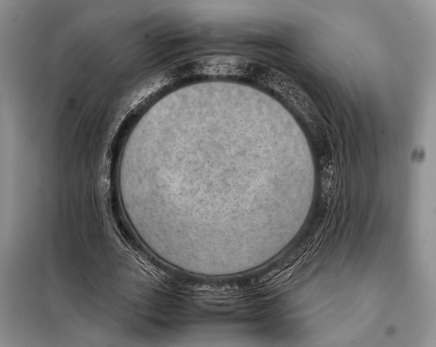 X0000097880727200804110950