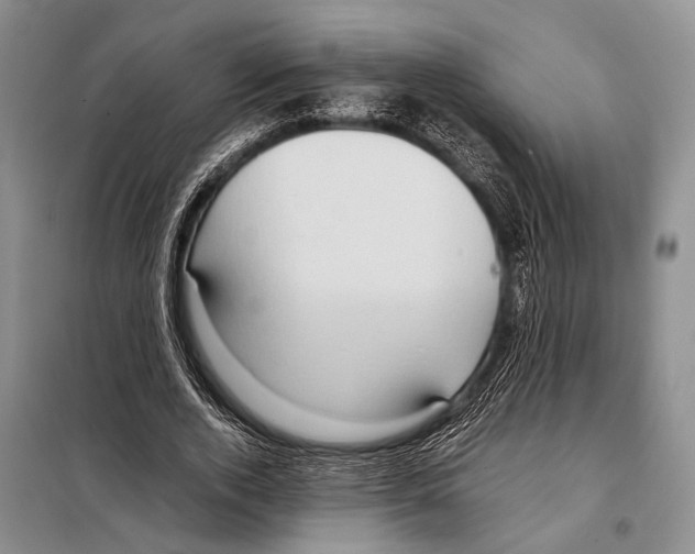 X0000097880728200804110950