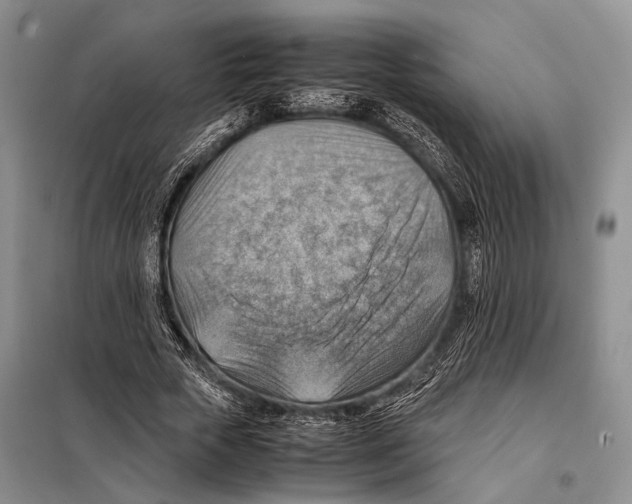 X0000097880729200804110950