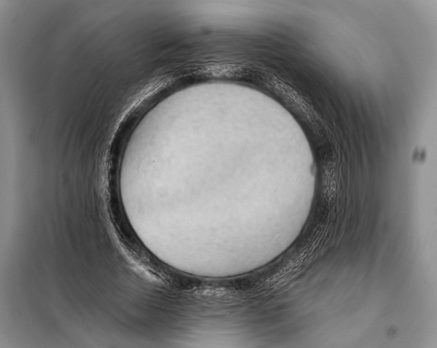 X0000097880730200804110950