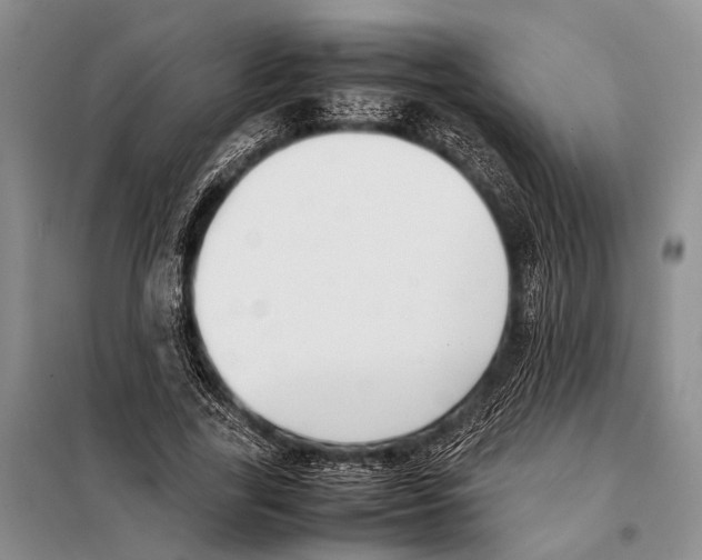 X0000097880731200804110950