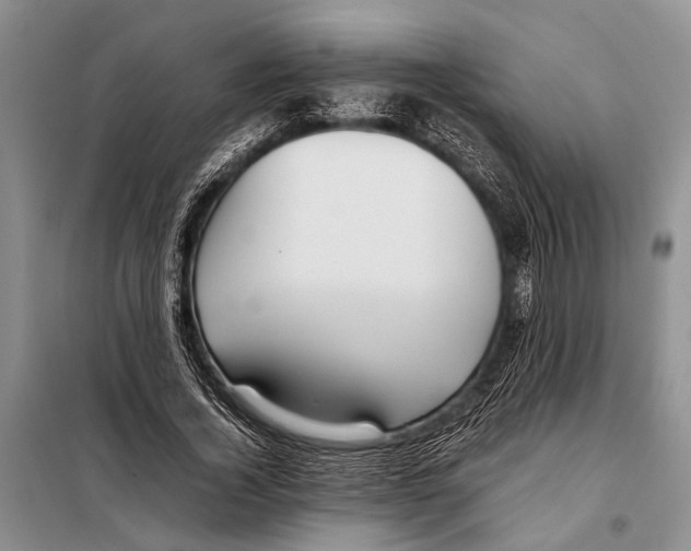 X0000097880732200804110950