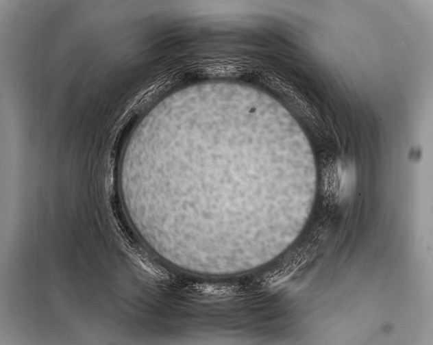 X0000097880733200804110950